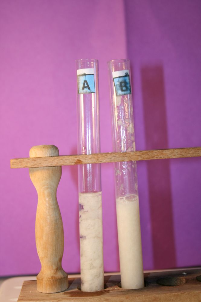 gal/LES_CINQUIEMES/ACTIVITE DIGESTION IN VITRO/Groupe_05/Groupe05_T_00h20min/Groupe05_T_00h_20min_7.JPG